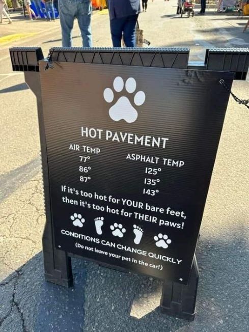 dogs asphalt temp.jpg